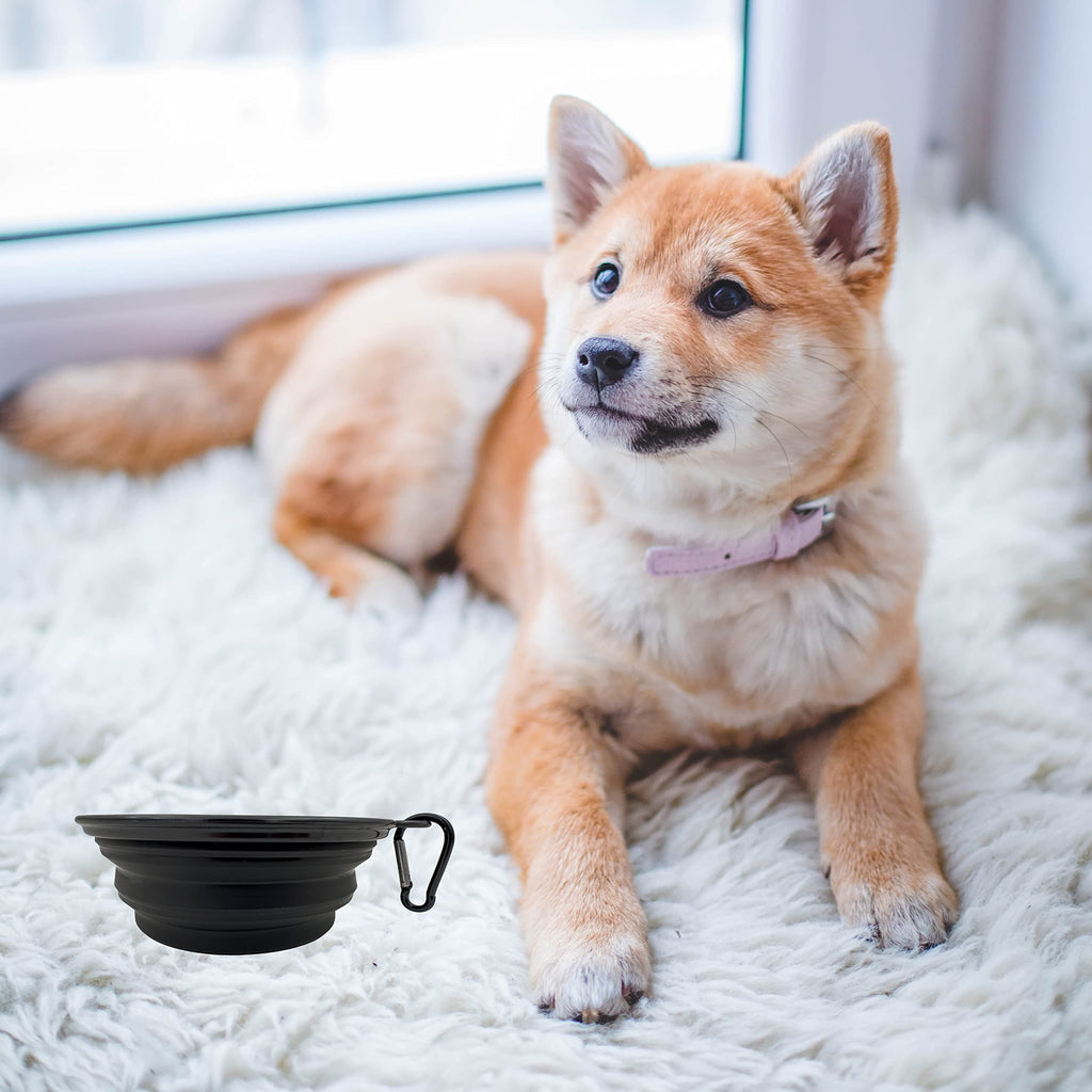 Collapsible Dog Travel Bowl with Carabiner – 350 ml, Black