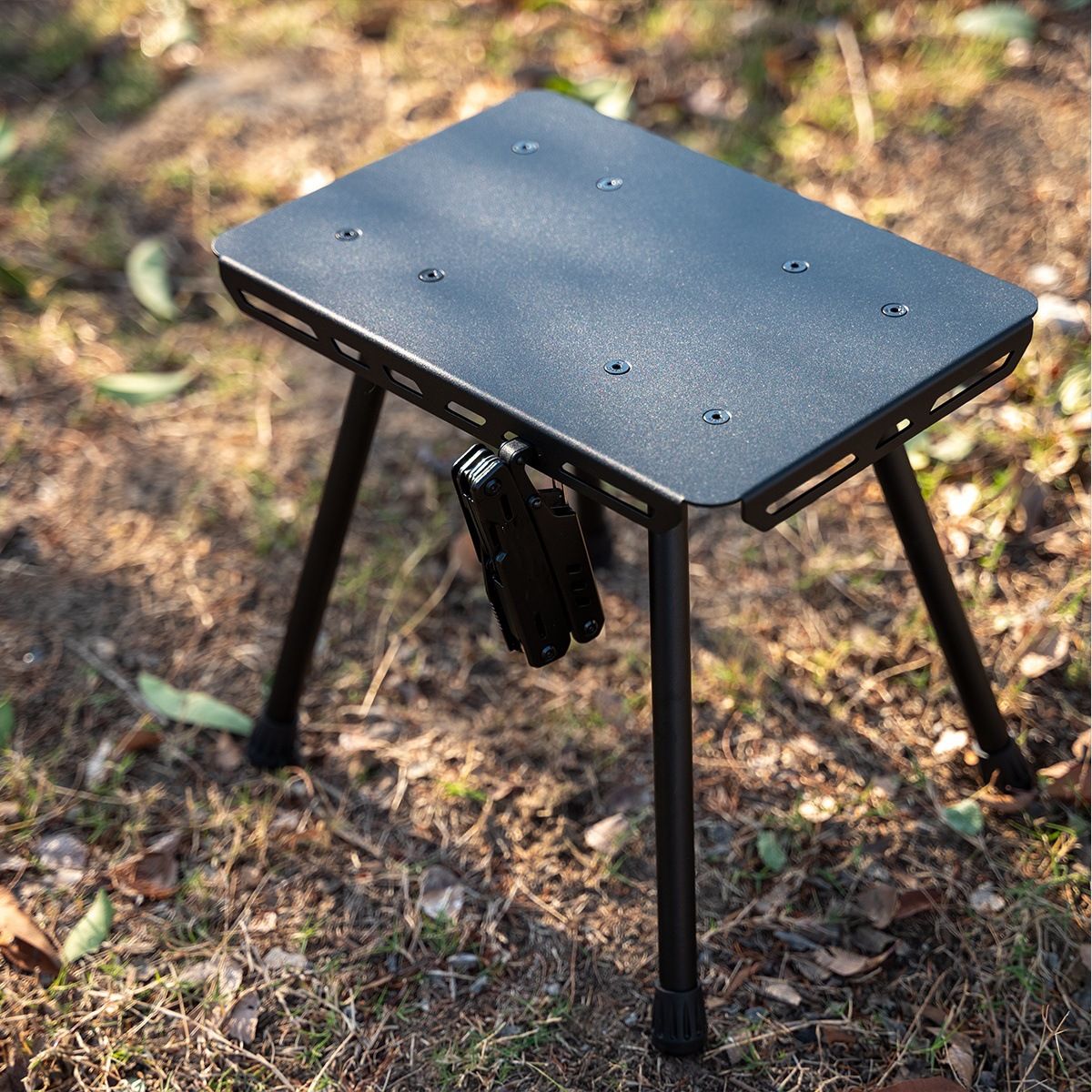 Compact Folding Camp Chair with Bag