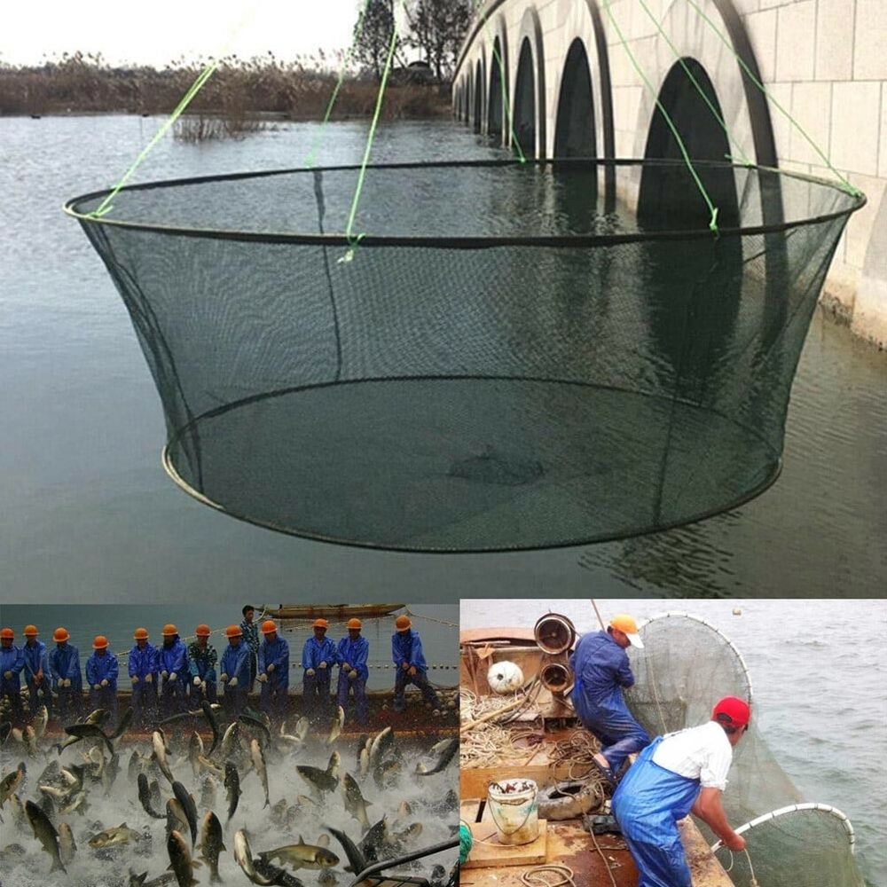 Foldable Drop Net for Crabs & Prawns