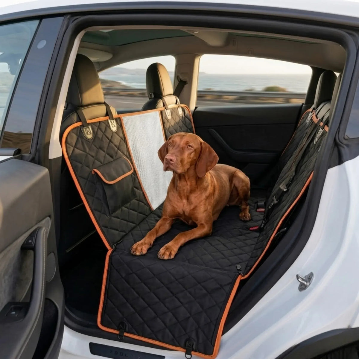 CARLA HOME Waterproof Dog Car Seat Cover Hammock – Black