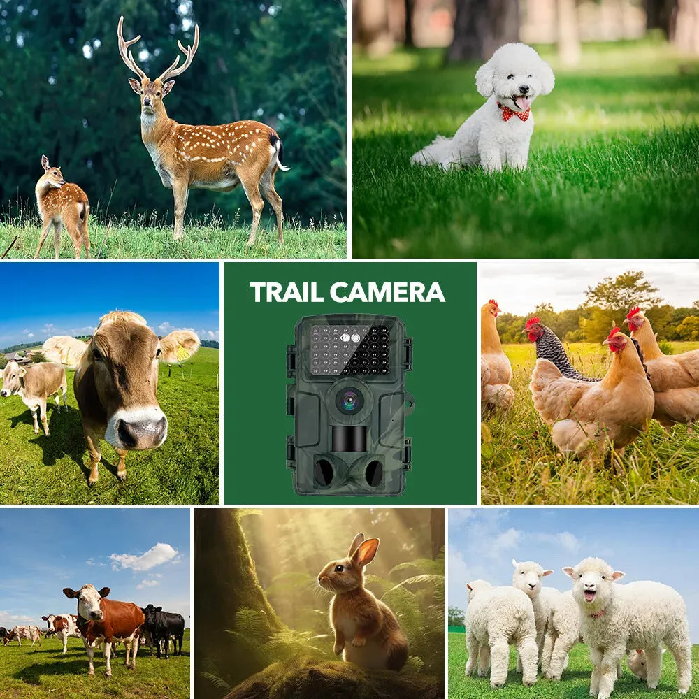 4K WiFi Trail Camera with Night Vision – IP66
