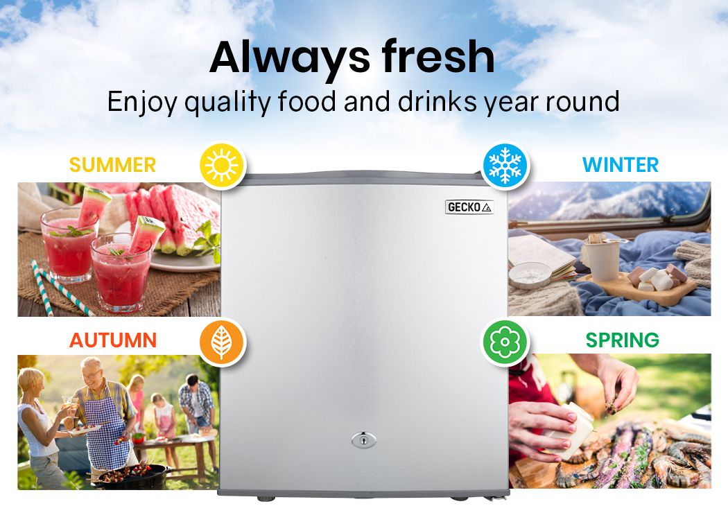 GECKO 57L Portable Fridge Freezer 12V/24V – Silver